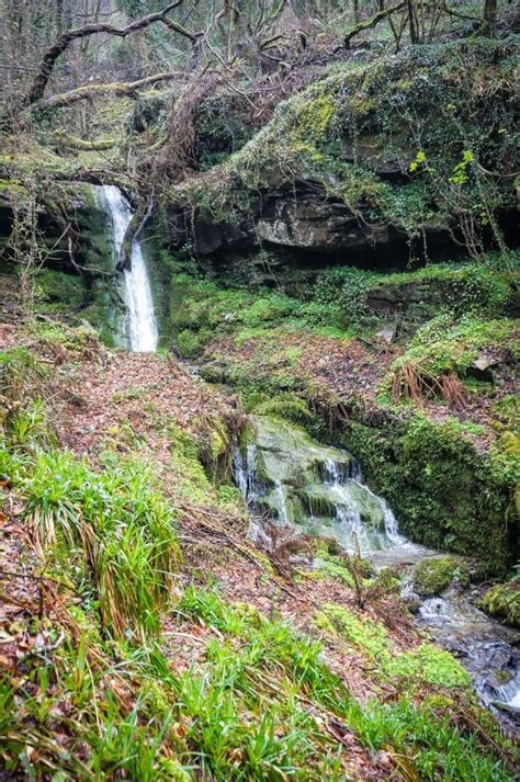 Welcome To St Nectans Glen Woodland And Waterfall In Cornwall