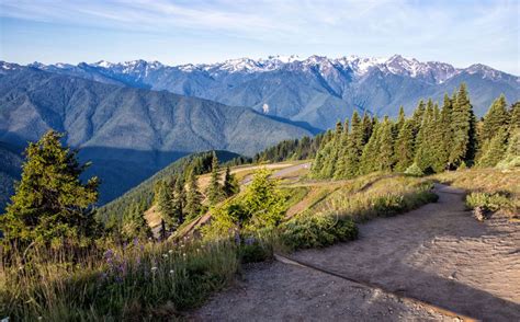Best Things To Do In Olympic National Park Earth Trekkers
