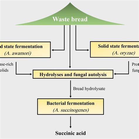 Proposed Bioprocess For The Production Of Bioethanol And Other
