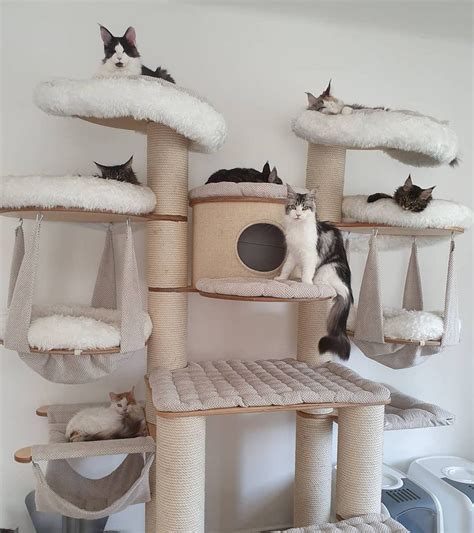 9 Amazing Cat Trees You Have To See