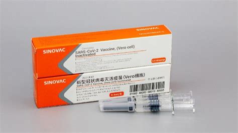 Kedatangan vaksin corona sinovac yang dikembangkan perusahaan farmasi china telah tiba di indonesia. Kabar Gembira, Vaksin Corona dari China Tiba di Indonesia ...