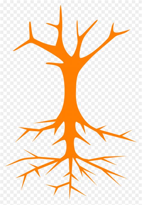 Tree Roots Stem Branches Naked Image Green Tree Vector Root Plant Cross HD PNG Download