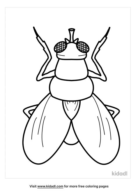 House Fly Coloring Pages
