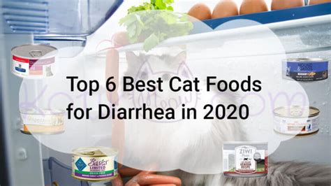 Top 6 Best Cat Foods For Diarrhea In 2020 Kotikmeow