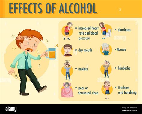 Effects Of Alcohol Information Infographic Illustration Stock Vector