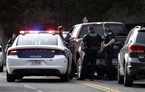 Cop Stumped When Bear Refuses To Move Looks Closer And Realizes He Has