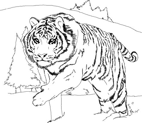 Classique Coloriage Tigre Imprimer Gallery Tiger Pictures Tiger