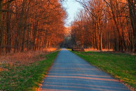 Spring Landscape Trees Grow Around The Road Stock Photo Image Of