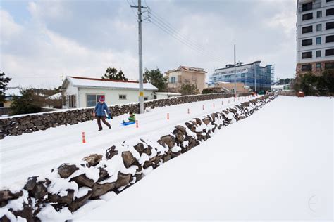 Snowy Jeju Winter Eric Hevesy Photography