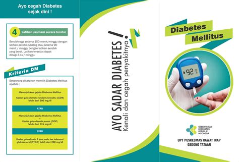 Leaflet Diabetes Kemenkes Tribunsantri Com