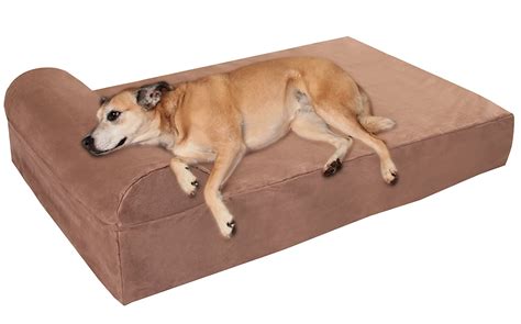 Check spelling or type a new query. Best Orthopedic Dog Beds for Large Dogs | HerePup!