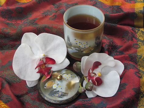 Elaines Wild Orchid Teas Premium Loose Leaf Teas From All Around The