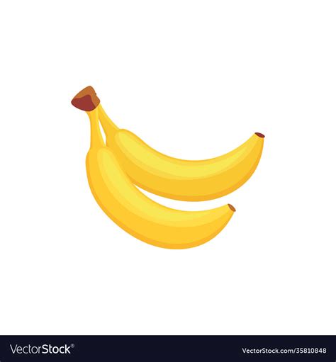 Two Bananas In A Bunch Cartoon Pair Isolated Vector Image