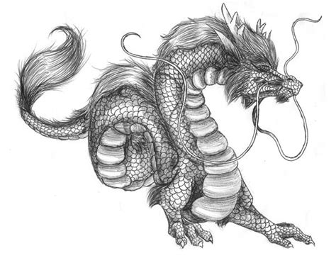 Realistic Dragon Drawing Chinese Dragon Drawing Realistic Drawings