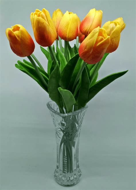 Gambar Vas Bunga Dan Bunganya Brain