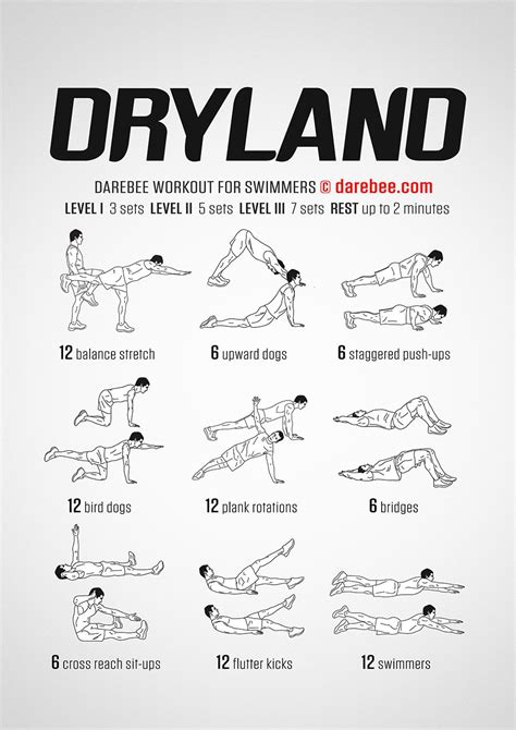 Dryland Workout Workouts For Swimmers Dryland Workout Swimming Drills