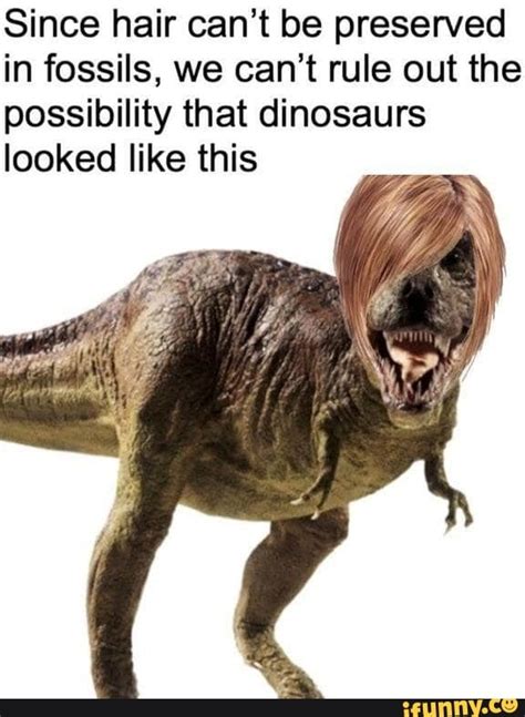 Since Hair Cant Be Preserved In Fossils We Cant Rule Out The Possibility That Dinosaurs