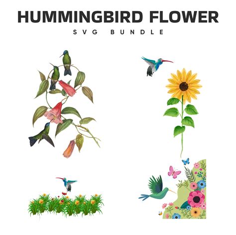 Hummingbird Flower Svg Design Master Bundles