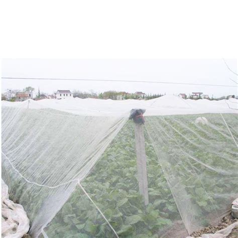 10ft X 10ft Mosquito Garden Bug Insect Netting Barrier Bird Hunting