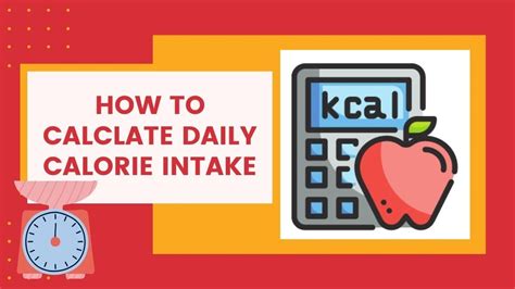 HOW TO CALCULATE DAILY CALORIE INTAKE YouTube