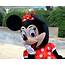 Minnie Mouse Free Stock Photo  Public Domain Pictures