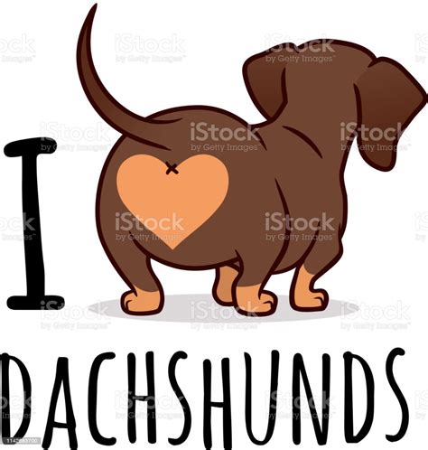 Cute Dachshund Dog Vector Cartoon Illustration Isolated On White I Love Dachshunds Text Caption