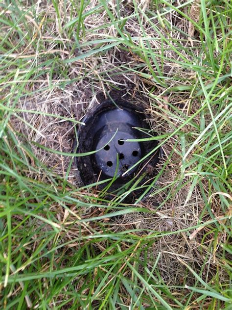 Drainage What Is This Black Plastic Looking Drain Hole In My Lawn