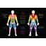 Muscle Chart With Most Important Muscles Of The Human Body Colored 