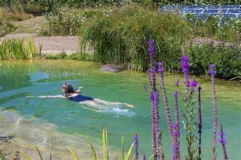 Natural Swimming Pools Everything You Need To Know About