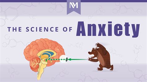 The Science Of Anxiety Infographic Northwestern Medicine