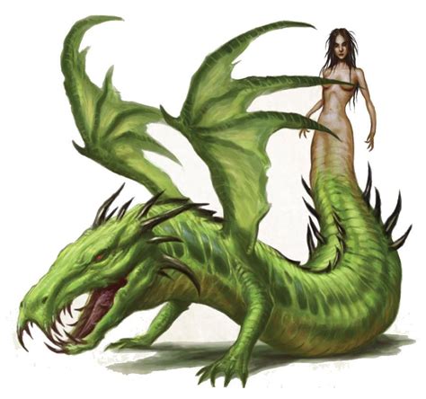Vouivre French Upgrade Wyvern Drakainia Monsters That Appear To
