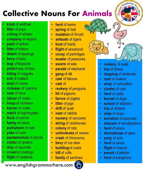 A collective noun must be a single noun that represents a group or gathering of 'whatevva'. Collective Nouns For Animals in English - English Grammar ...
