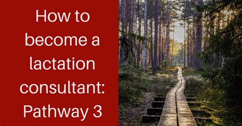 How To Become A Lactation Consultant Ibclc Pathway Nc State