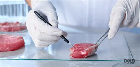 Artificial Meat Lab Grown Meat And The Future Of Food