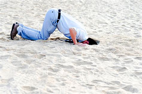 260 Hiding Head In Sand Stock Photos Pictures And Royalty Free Images