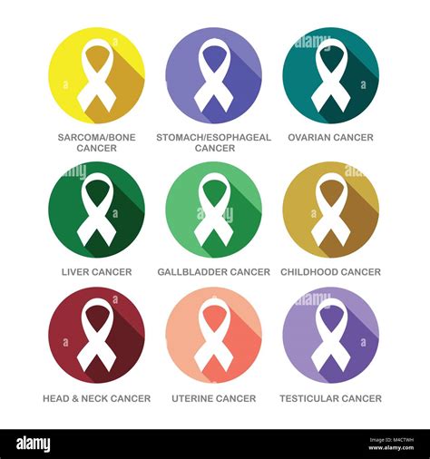 Various Cancer Awareness Ribbon Symbols Icon Set Vector Graphic Design