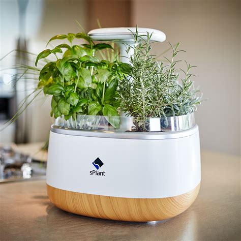 Splant Smart Fresh Herb Garden Kit Intelligent Indoor Sprout Led Light