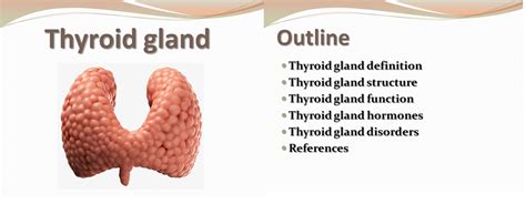 Thyroid Gland Presentation Ppt Do A Biology