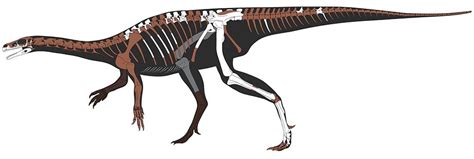 Species New To Science Paleontology 2018 Bagualosaurus Agudoensis