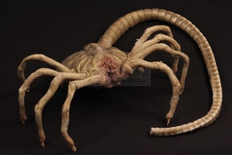The Prop Gallery Facehugger