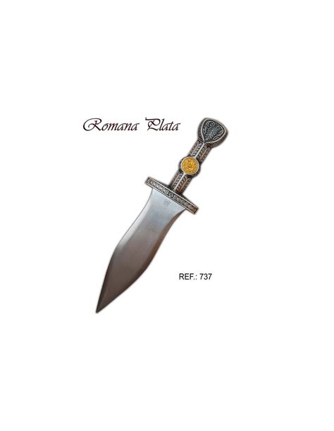 Roman Dagger Silver Swords Medieval Weapons