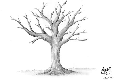 Learn how to draw realistic landscape pictures using these outlines or print just for coloring. Realistic Tree Drawing at PaintingValley.com | Explore ...