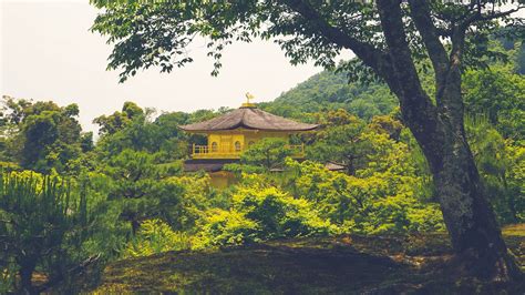 Download Wallpaper 1920x1080 Pagoda Temple Building Trees Nature