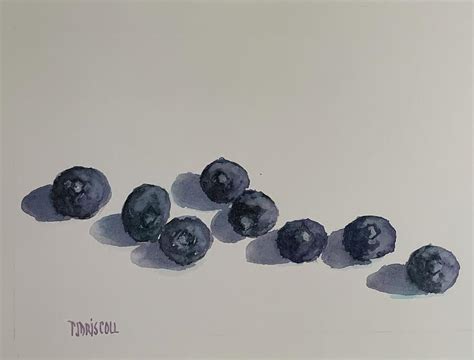 Blueberries Painting By Pamela Driscoll Fine Art America