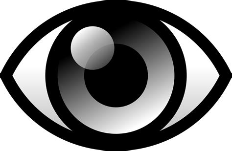 Eyeballs Clipart Eye Icon Eyeballs Eye Icon Transparent Free For