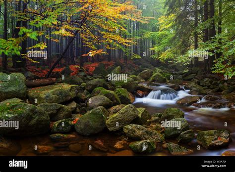 Foggy Autumn Or Summer Landscape Misty Foggy Morning With River In A