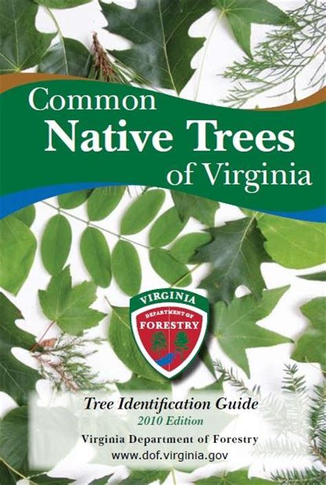 Not the answer you're looking for? Tree identification, Hiking and Virginia on Pinterest