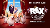 Rex - Un cucciolo a palazzo. Teaser Trailer Italiano [HD] - YouTube