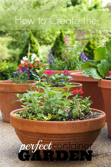 How To Create The Perfect Container Garden Remodelaholic