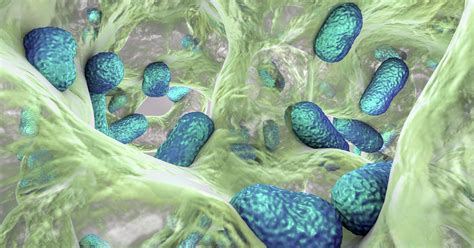 Biofilm Formations Present Serious Legionella Risk For Buildings